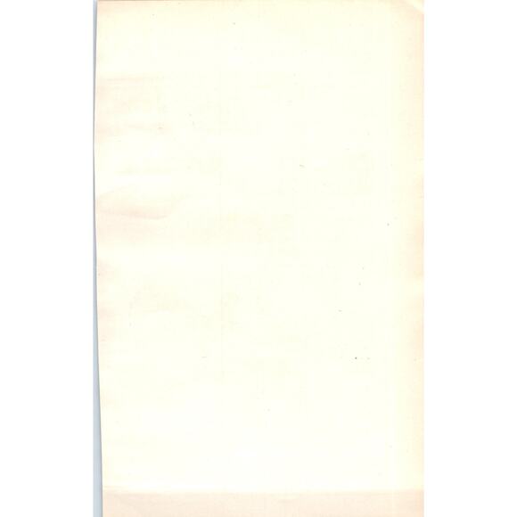 Wryneck Bird 1903 Original Color Engraving Plate Print AD8-B3 - Picture 2 of 2